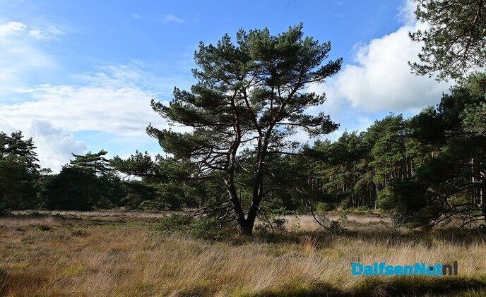 Wandeling over het Rechterense Veld - Foto: Johan Bokma