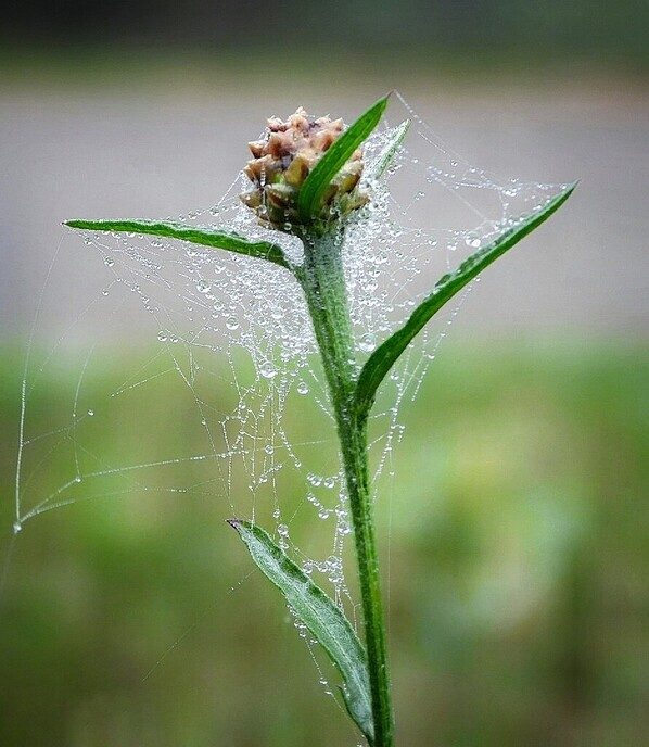 Mooie beelden van onze natuurfotograaf - Foto: Femmie Smink