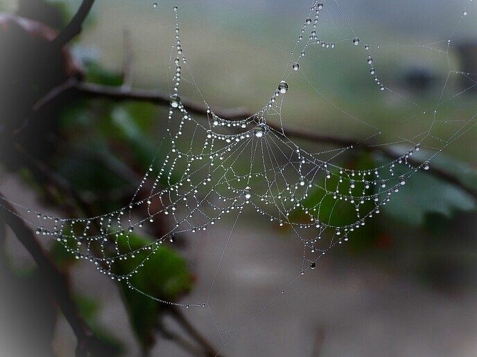 Mooie beelden van onze natuurfotograaf - Foto: Femmie Smink