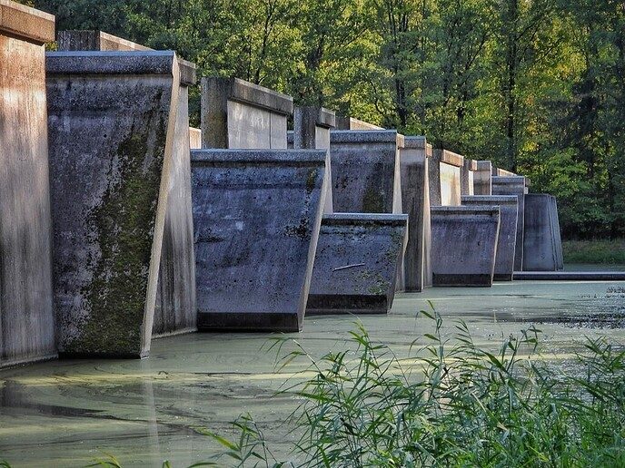 Waterloopbos (deel 2) - Foto: Femmie Smink