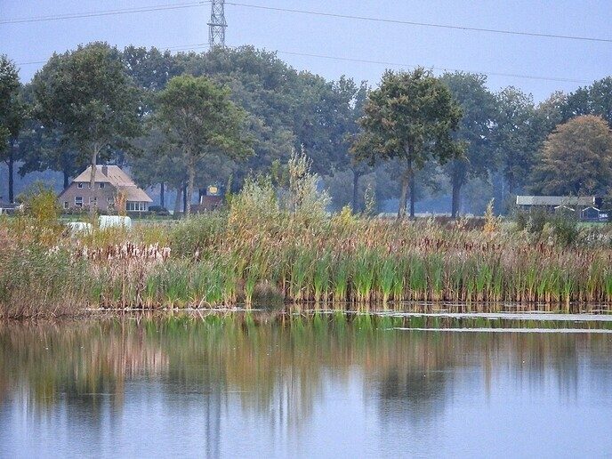 Mooi Nieuwleusen - Foto: Femmie Smink