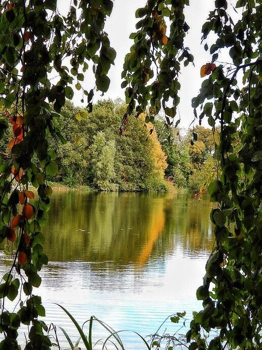  Rondje Hulsterplas - Foto: Femmie Smink