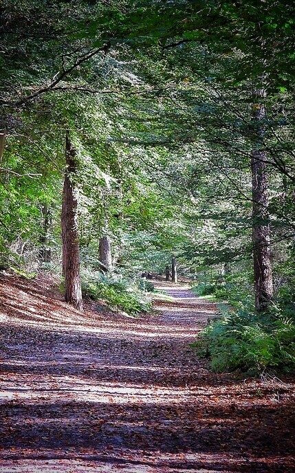 Wandelen op de “Steile Oever” - Foto: Femmie Smink
