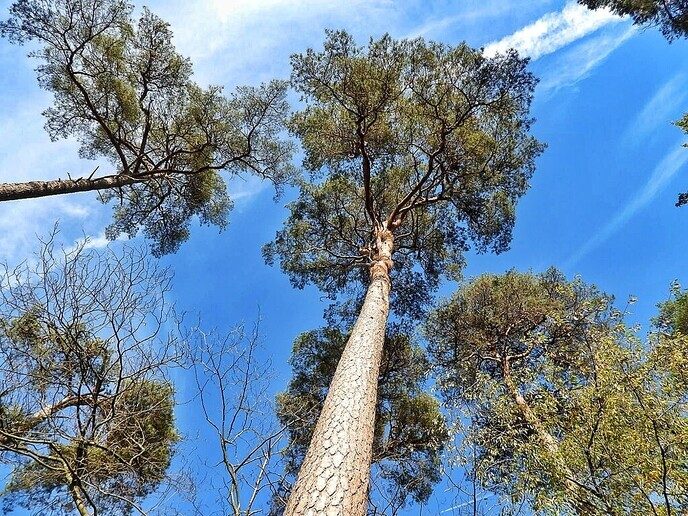 Wandelen op de “Steile Oever” - Foto: Femmie Smink
