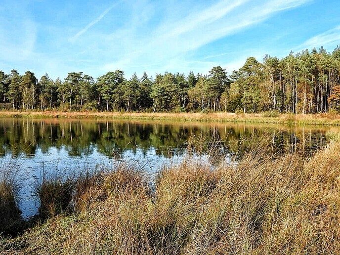 Wandelen op de “Steile Oever” - Foto: Femmie Smink