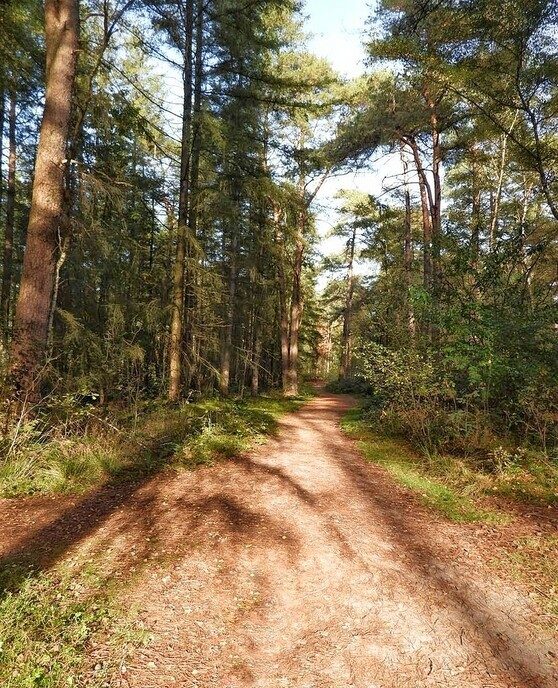 Wandelen op de “Steile Oever” - Foto: Femmie Smink