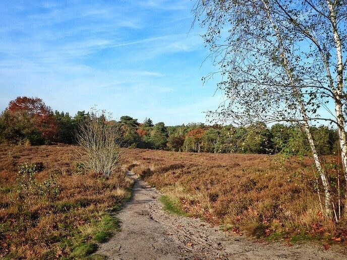 Wandelen op de “Steile Oever” - Foto: Femmie Smink