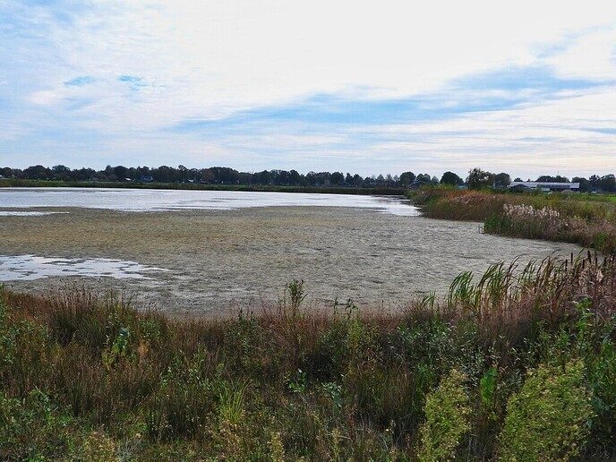 Wandeling bij de Zonnehorst - Foto: Femmie Smink
