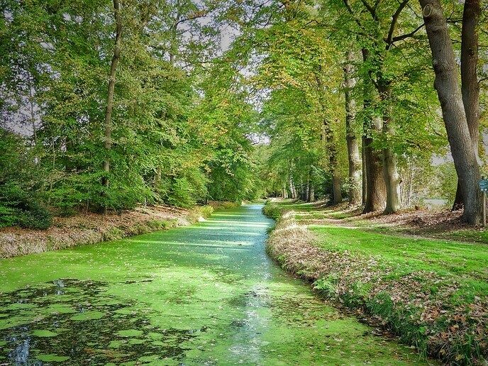 De natuurfotograaf was bij het Dalfser Engelse werk - Foto: Femmie Smink