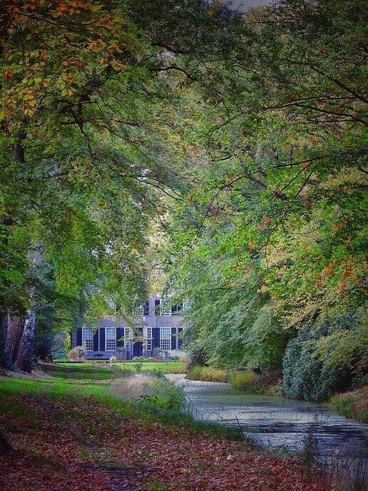 De natuurfotograaf was bij het Dalfser Engelse werk - Foto: Femmie Smink