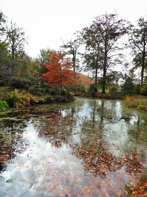 De natuurfotograaf was bij het Dalfser Engelse werk - Foto: Femmie Smink