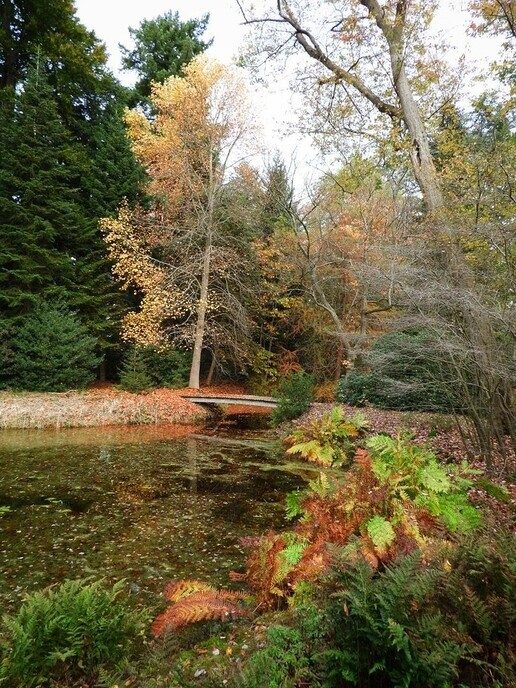 De natuurfotograaf was bij het Dalfser Engelse werk - Foto: Femmie Smink