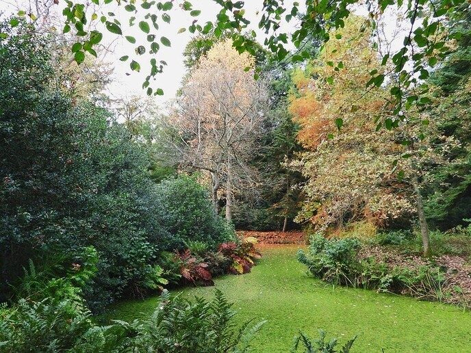 De natuurfotograaf was bij het Dalfser Engelse werk - Foto: Femmie Smink