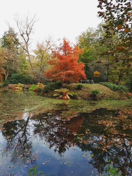 De natuurfotograaf was bij het Dalfser Engelse werk - Foto: Femmie Smink