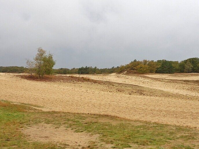 Heerlijk wandelen tussen de regendruppels door - Foto: Femmie Smink