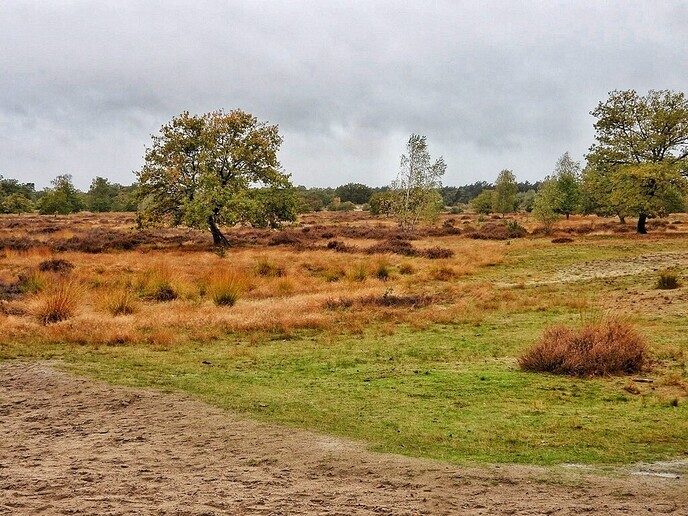 Heerlijk wandelen tussen de regendruppels door - Foto: Femmie Smink