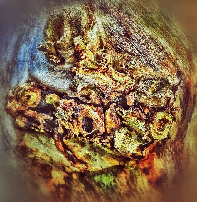 Een paar abstracte  foto’s   - Foto: Femmie Smink