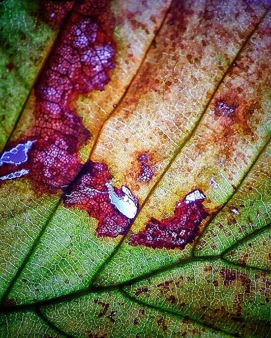Een paar abstracte  foto’s   - Foto: Femmie Smink