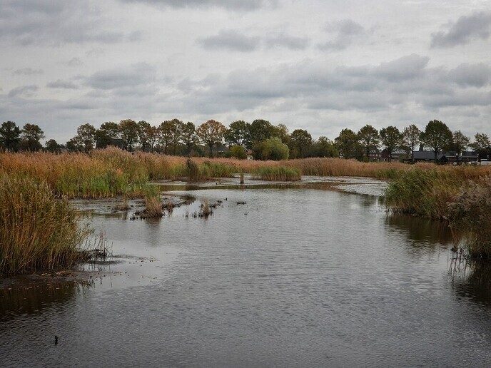 Natuurboerderij BalkInn - Foto: Femmie Smink