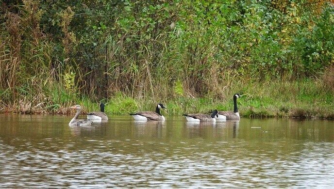 Natuurboerderij BalkInn - Foto: Femmie Smink