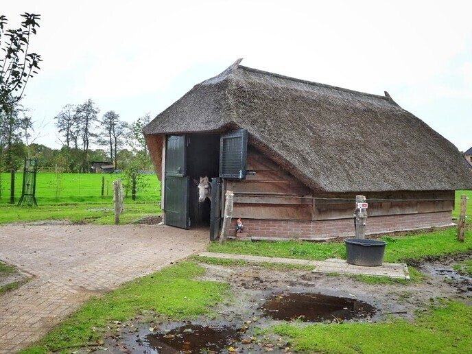 Natuurboerderij BalkInn - Foto: Femmie Smink
