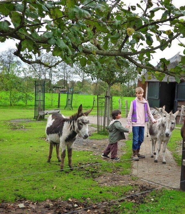 Natuurboerderij BalkInn - Foto: Femmie Smink