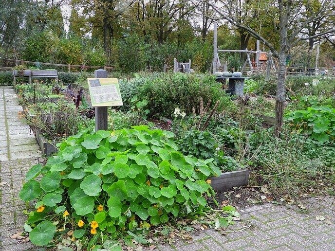 Natuurboerderij BalkInn - Foto: Femmie Smink