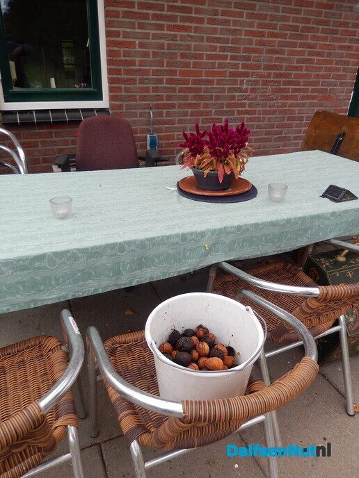 Walnoten gewoon roofgoed - Foto: Willy