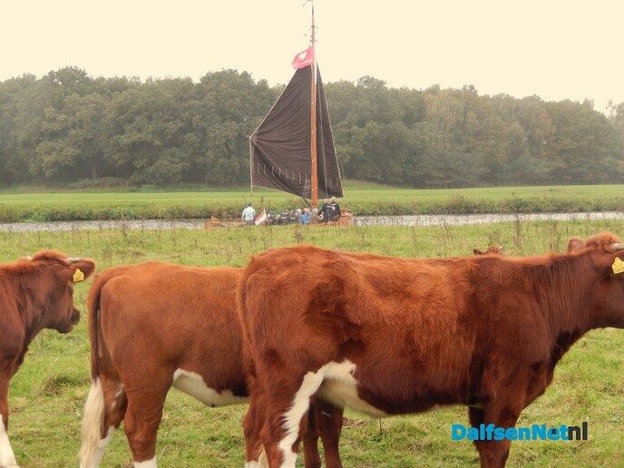 Vandaag waren zeilende zompen te zien op de Vecht - Foto: Willy
