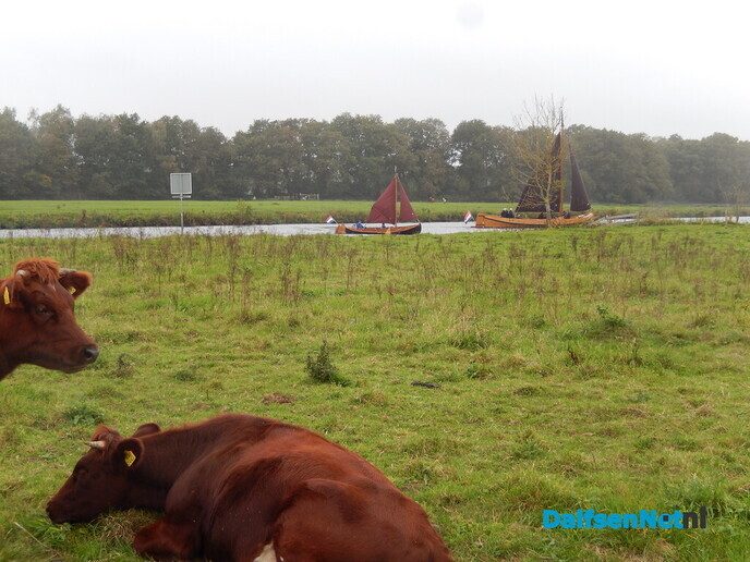 Vandaag waren zeilende zompen te zien op de Vecht - Foto: Willy