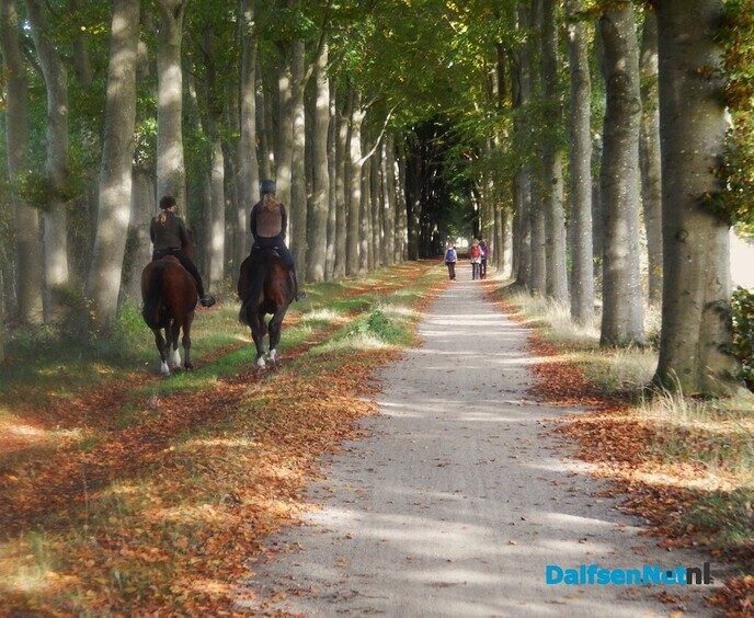 Dit is toch fantastisch met dit weer - Foto: Willy