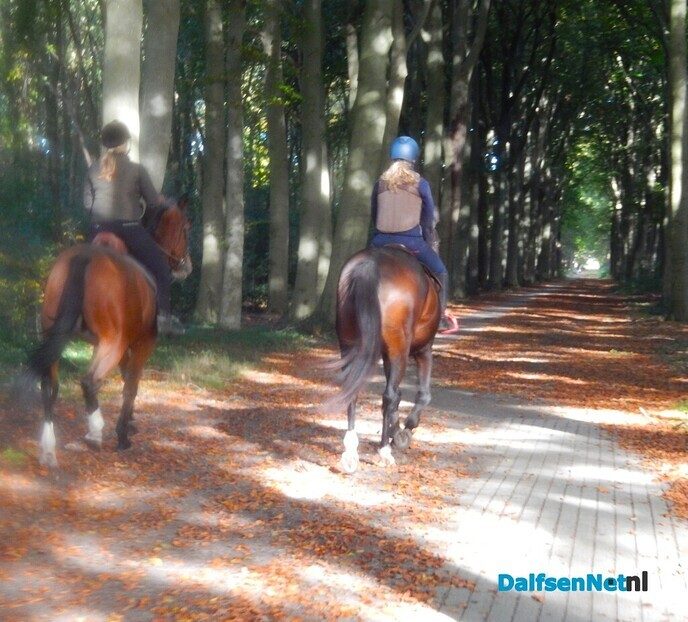 Dit is toch fantastisch met dit weer - Foto: Willy