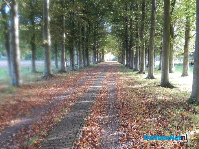 Dit is toch fantastisch met dit weer - Foto: Willy