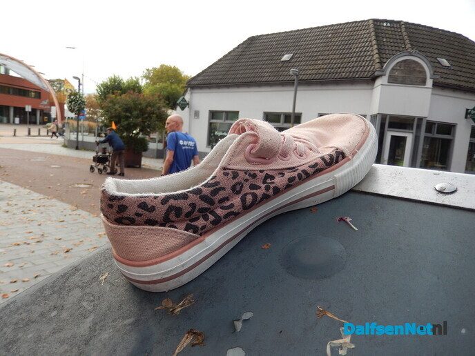 Salandse wandel 3 daagse: een gezellig drukte - Foto: Willy