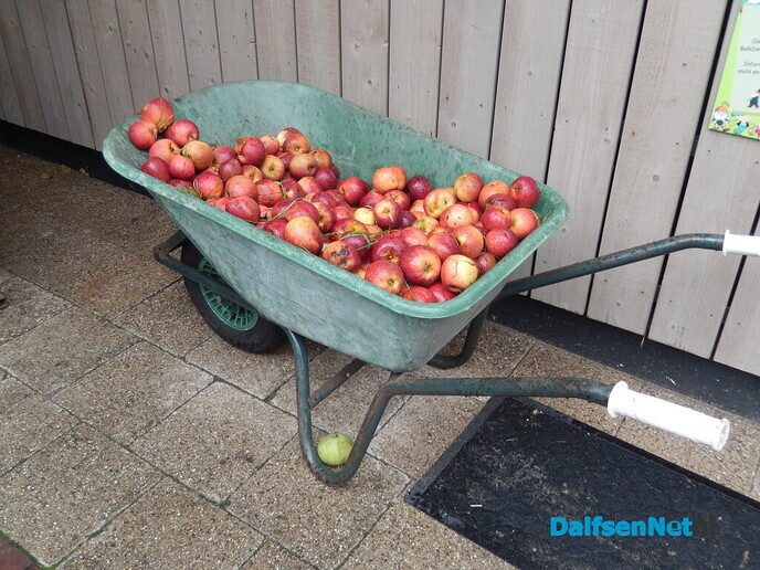 Vandaag was er een gezellige herfstmarkt in Nieuwleusen - Foto: Willy