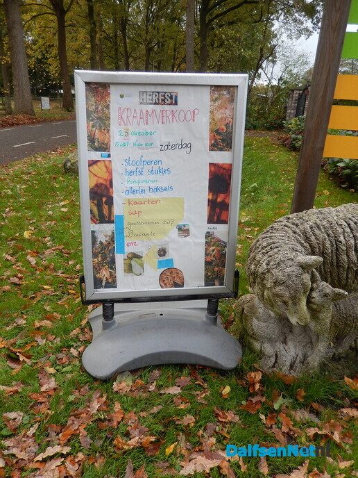 Vandaag was er een gezellige herfstmarkt in Nieuwleusen - Foto: Willy