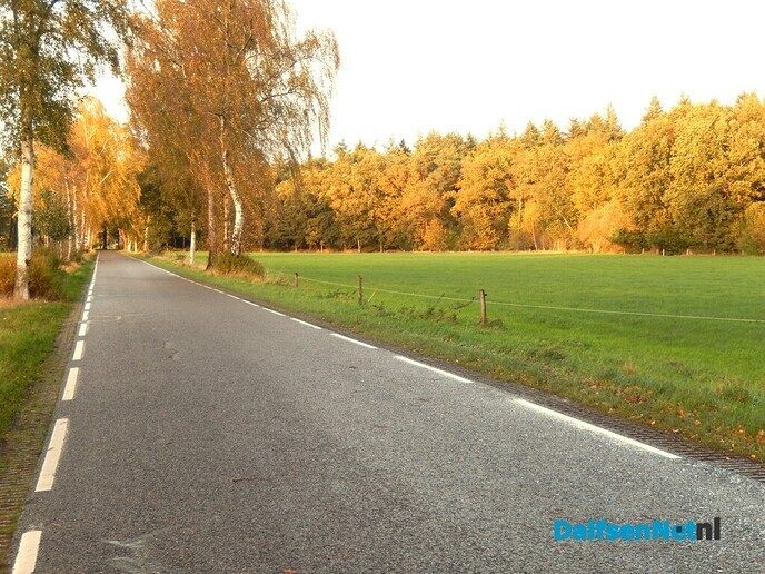 Zonnestralen - Foto: Willy