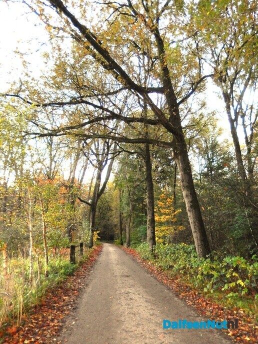 Zonnestralen - Foto: Willy