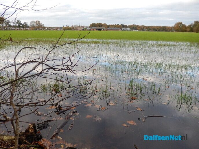 Bodem verzadigd - Foto: Willy