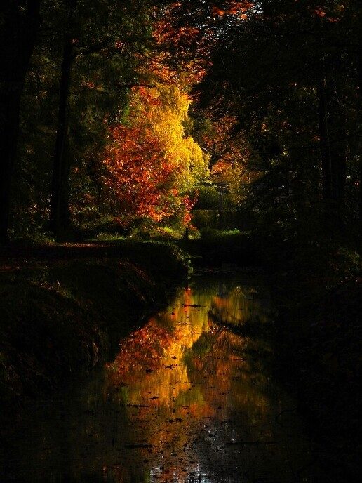 Enkele herfstplaatjes