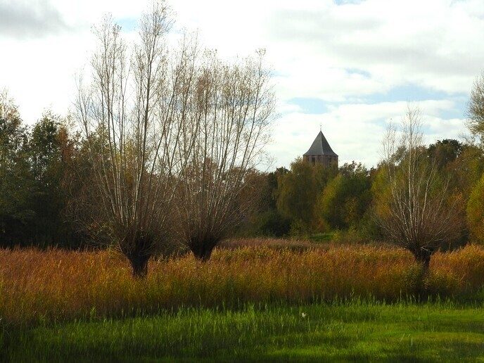 Enkele herfstplaatjes