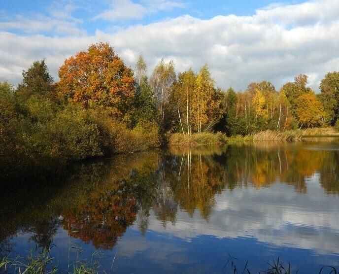 Enkele herfstplaatjes