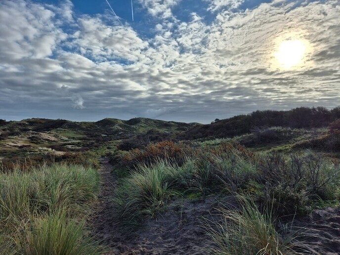 Vakantiefoto, duinlandschap