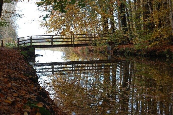 Helmhorst: groene parel tussen Isala en Berkum - Foto: Ingezonden foto