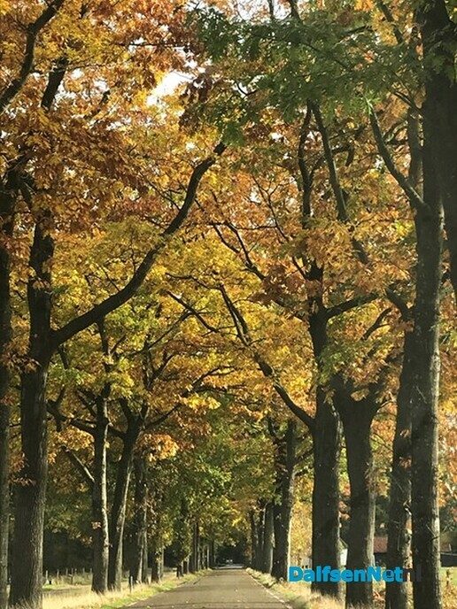Herfst kleurt de Vlierhoek - Foto: Willie uut Hessum