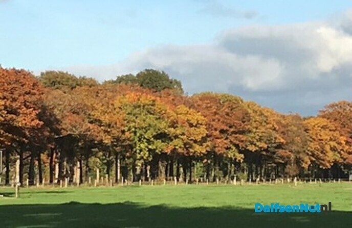 Herfst kleurt de Vlierhoek - Foto: Willie uut Hessum