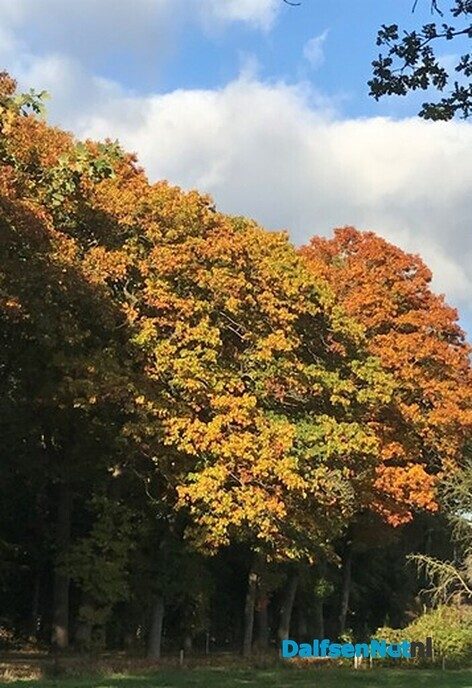 Herfst kleurt de Vlierhoek - Foto: Willie uut Hessum