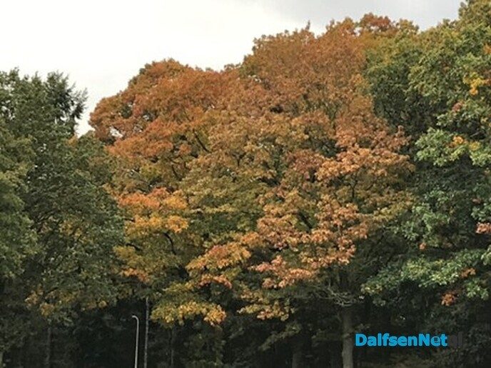 Herfst kleurt de Vlierhoek - Foto: Willie uut Hessum