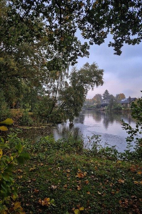 Kleurverandering van de natuur - Foto: Femmie Smink