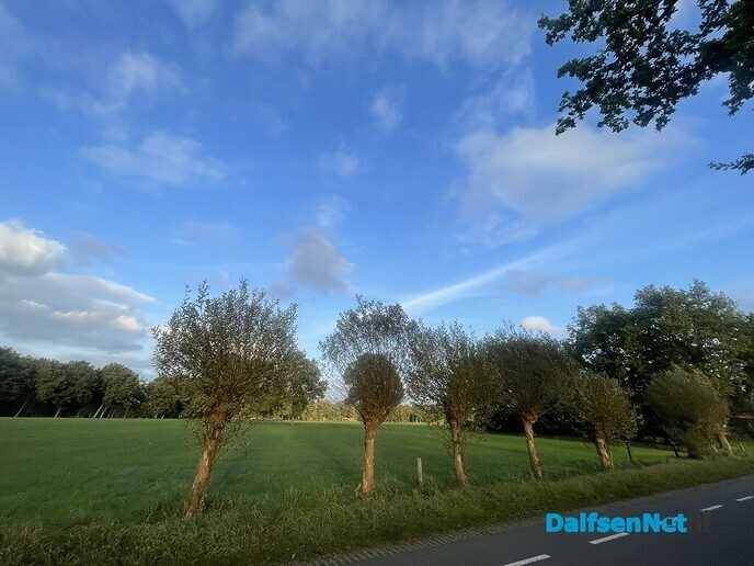 Even wat omgevingsfoto’s - Foto: Willy